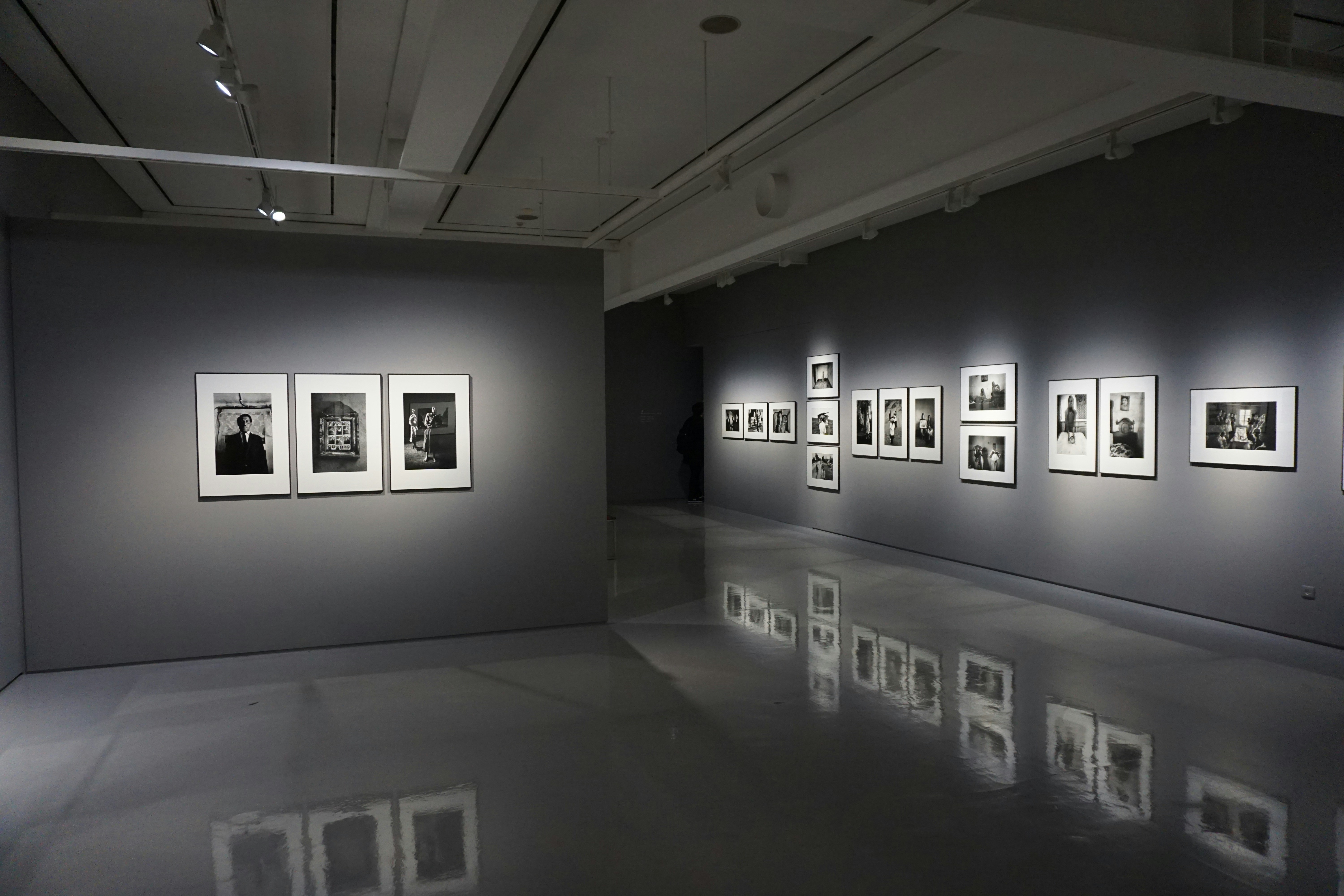 Must-Visit Art Exhibitions Around the World in 2023