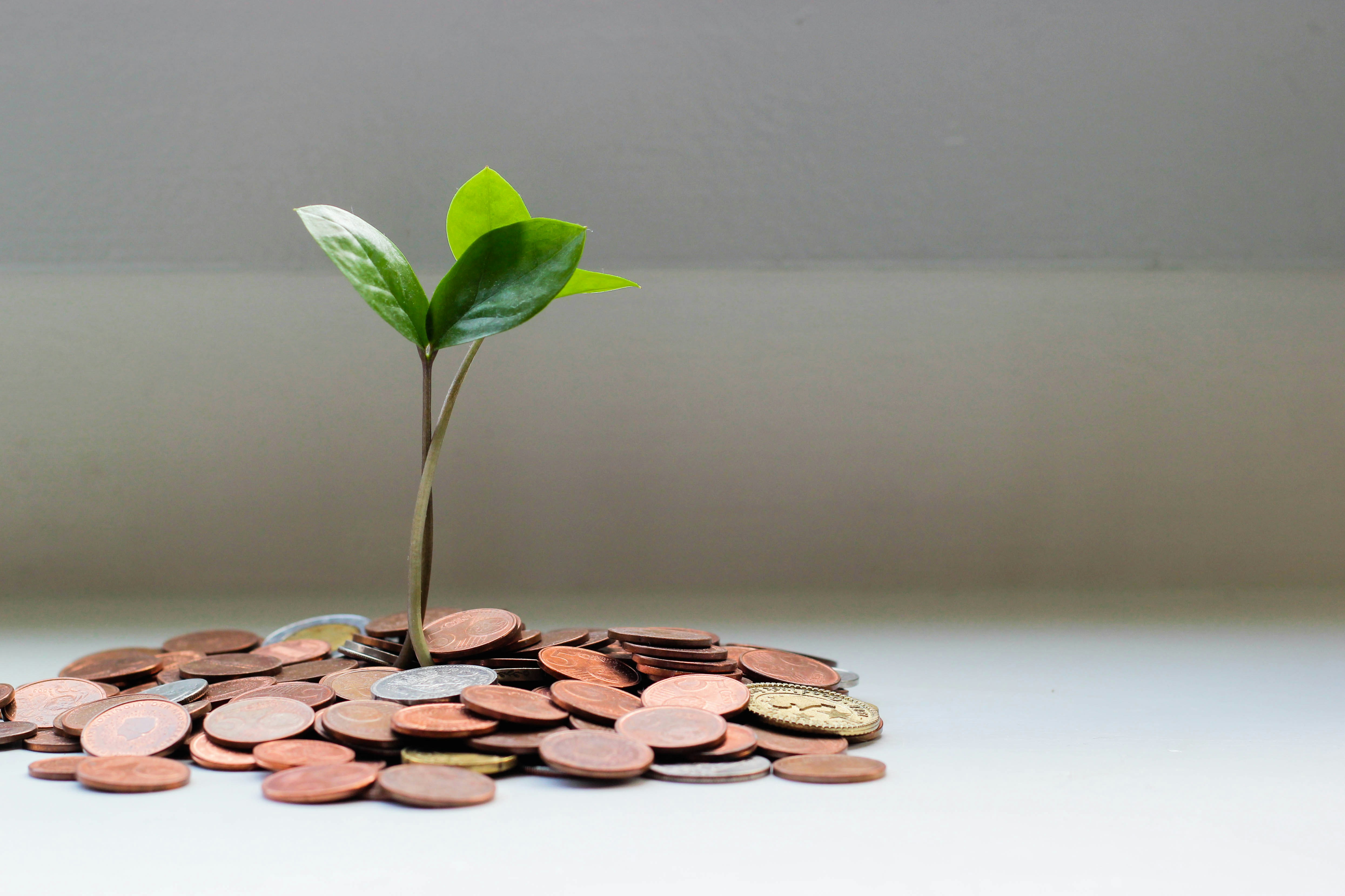 Financial Wellness Basics: Building a Healthy Relationship with Money